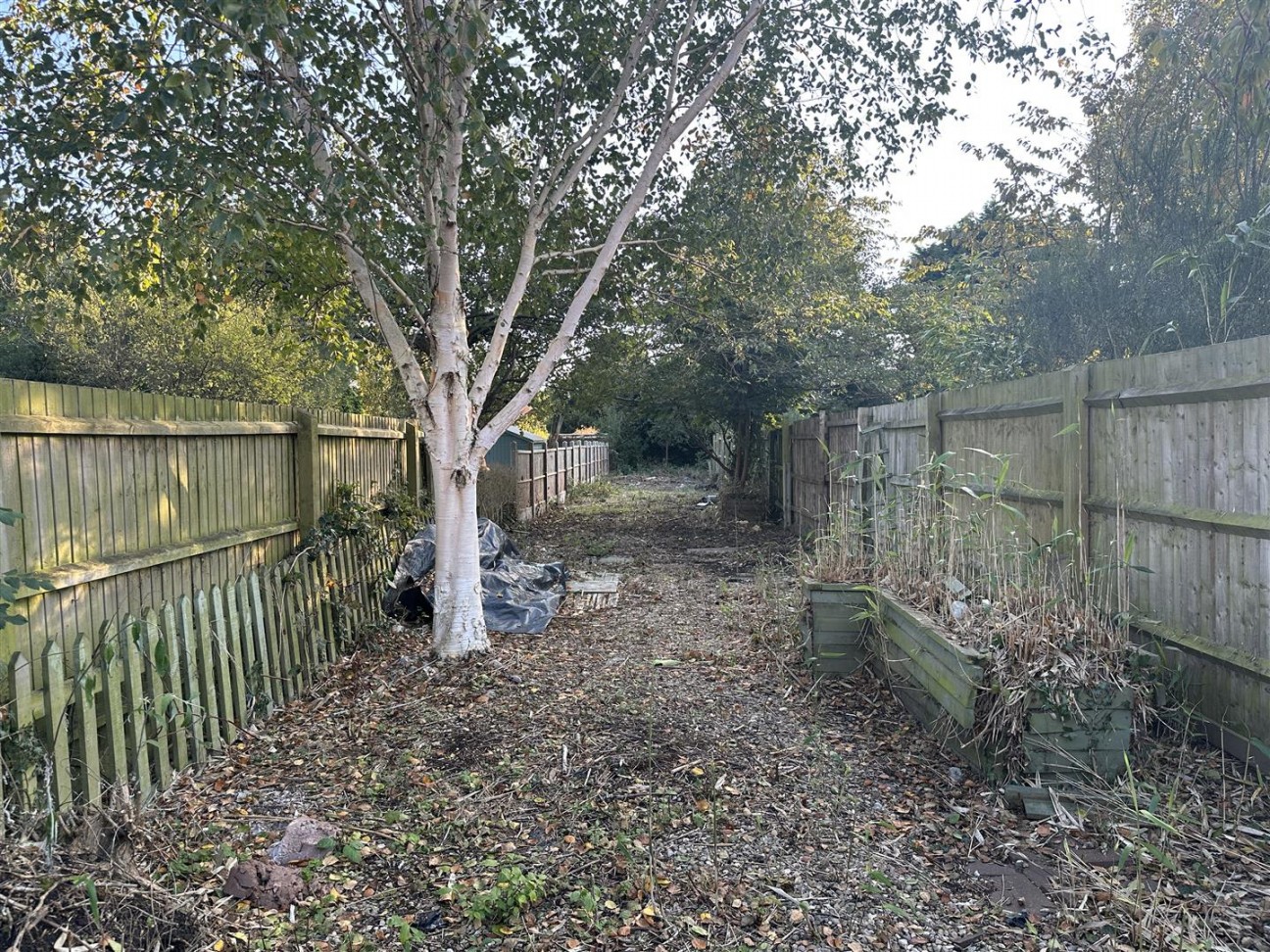 Central Avenue, Wigston