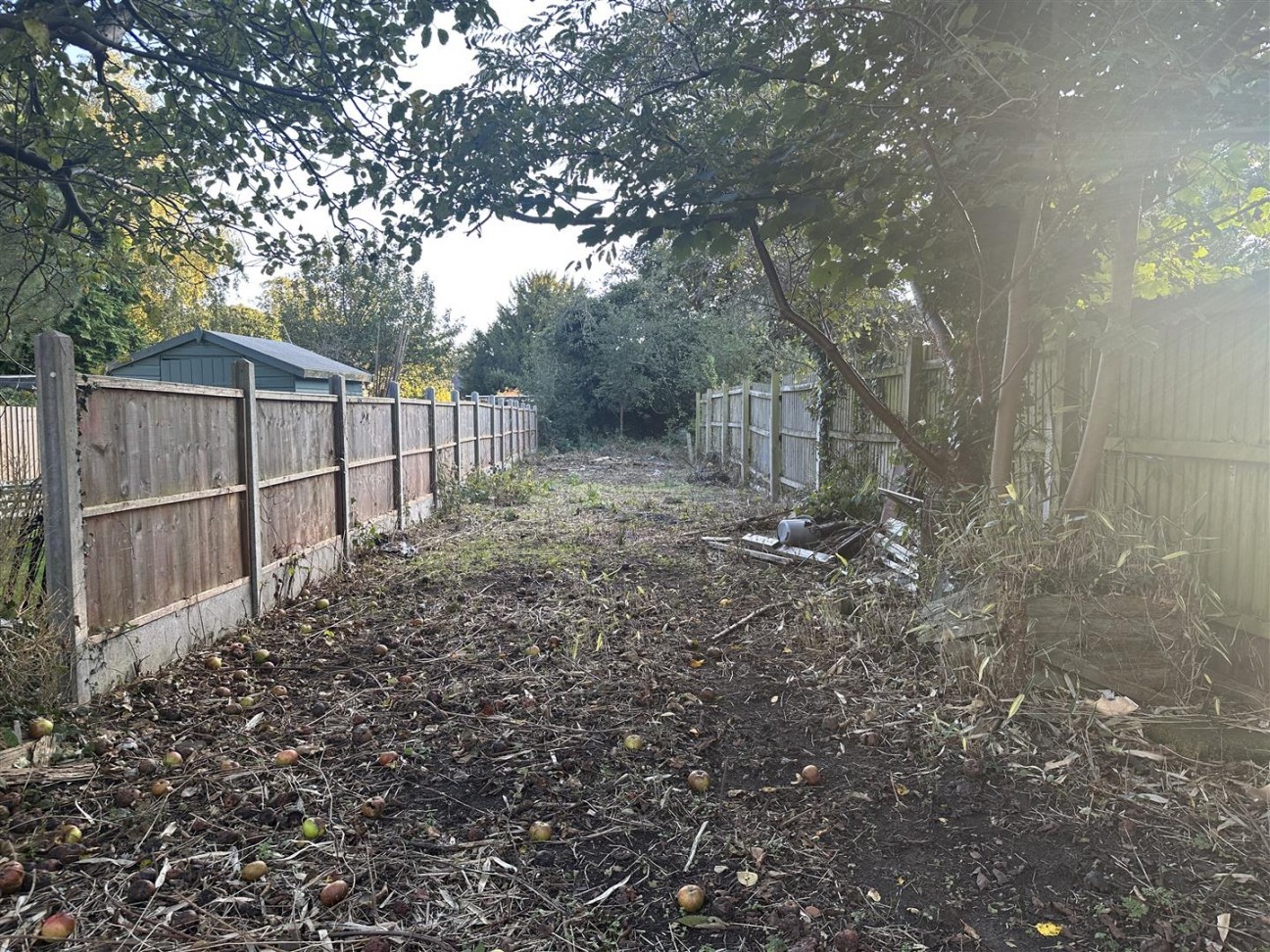 Central Avenue, Wigston