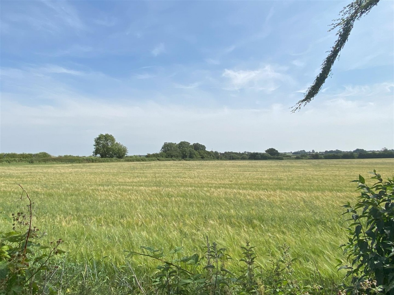 Middlefield Road, Cossington