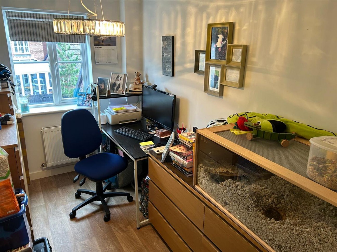 Clarke Crescent, Countesthorpe