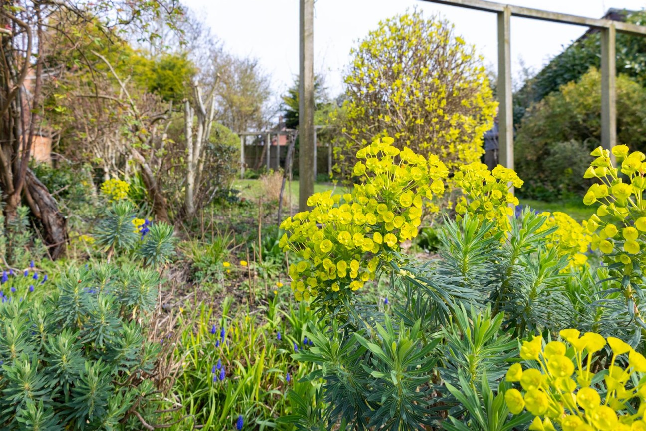 Main Street, Queniborough, Leicestershire.