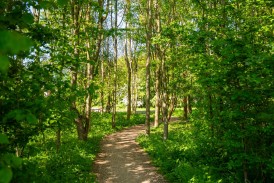 Gladiator Road, Upper Cambourne, CB23