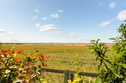 Madingley Road, Coton, CB23
