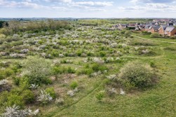 Lumbley Close, Great Cambourne, CB23