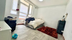 Munster Road, London