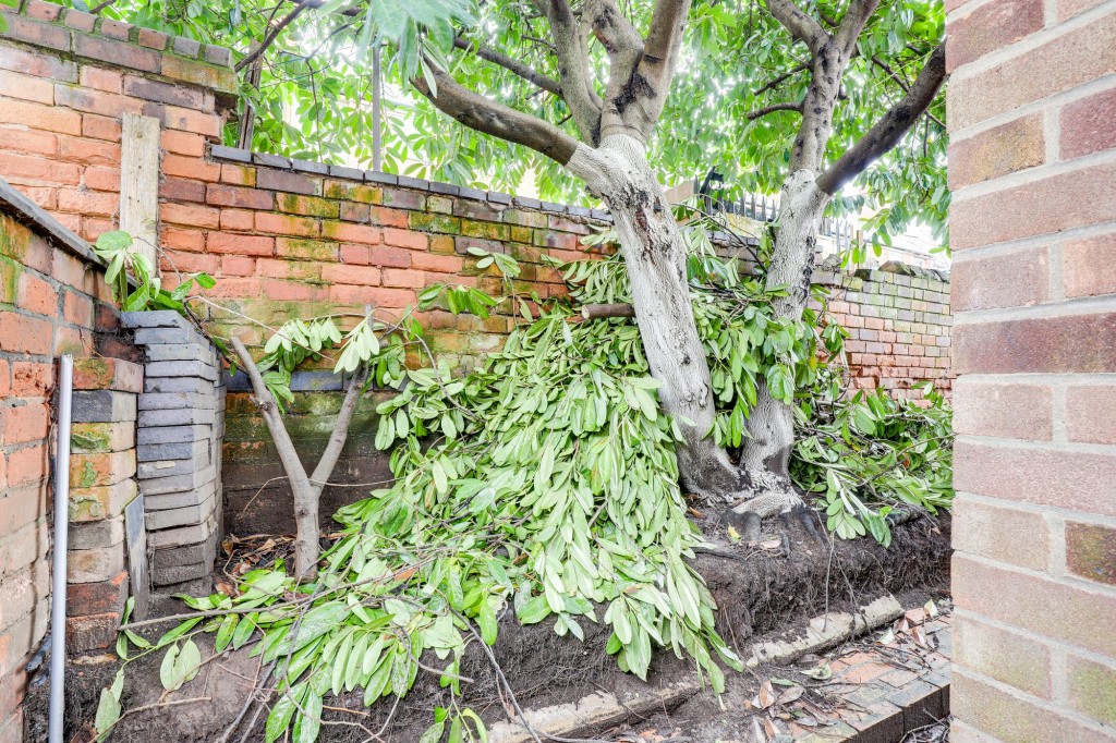 Ewart Road, Nottingham, NG7