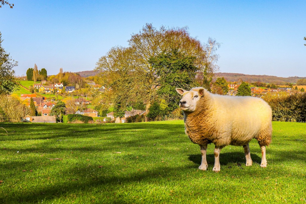 Long Meadow Farm, Main Street, Woodborough, Nottingham, NG14 6EA