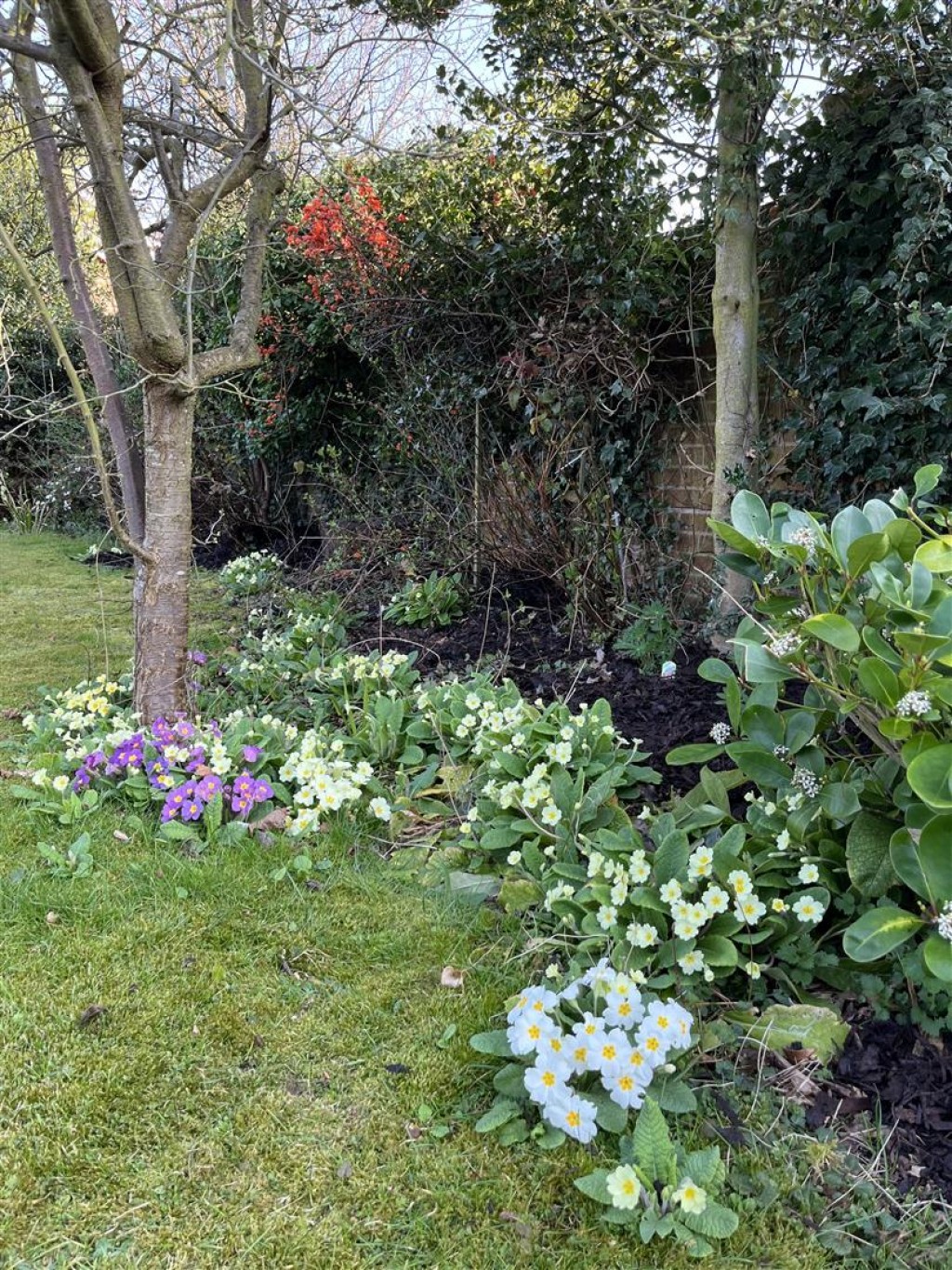 Plumtree Gardens, Calverton, Nottinghamshire, NG14 6GE