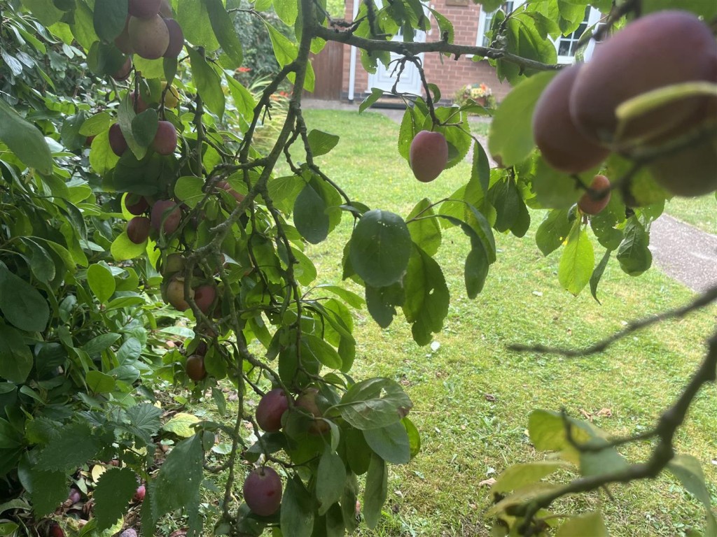 Plumtree Gardens, Calverton, Nottinghamshire, NG14 6GE