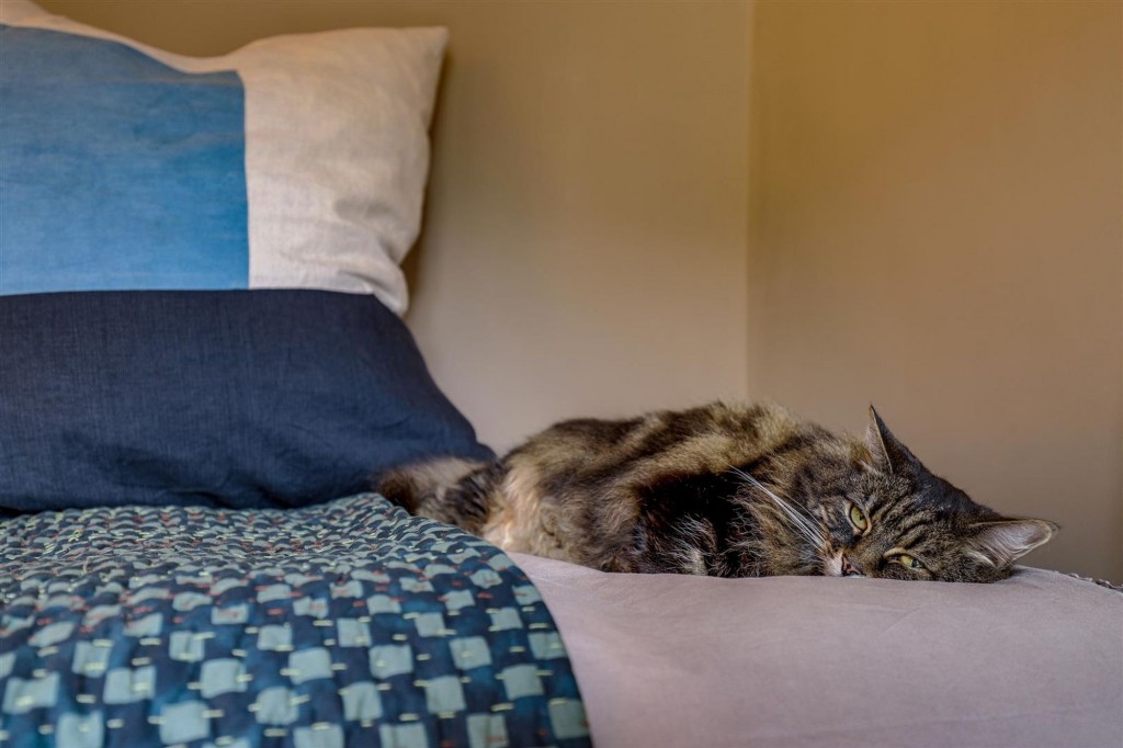 Sneinton Hollows, Nottingham, NG2