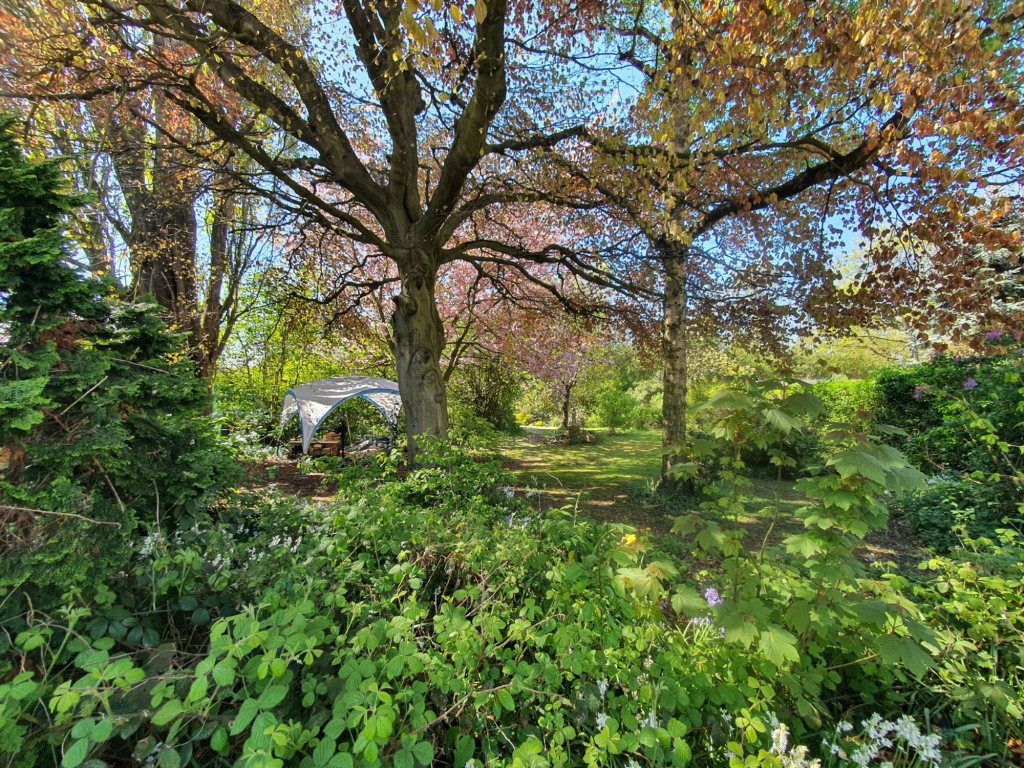 Sandy Lane, Hucknall, NG15
