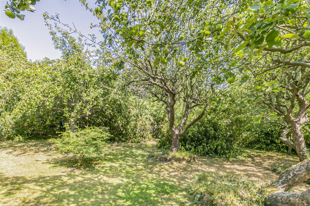 Whole Plot, Hollywood Way, Woodford Green, Essex, IG8