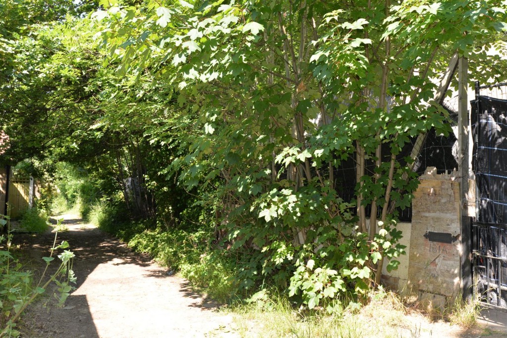 Greenway Avenue, Walthamstow, London, E17