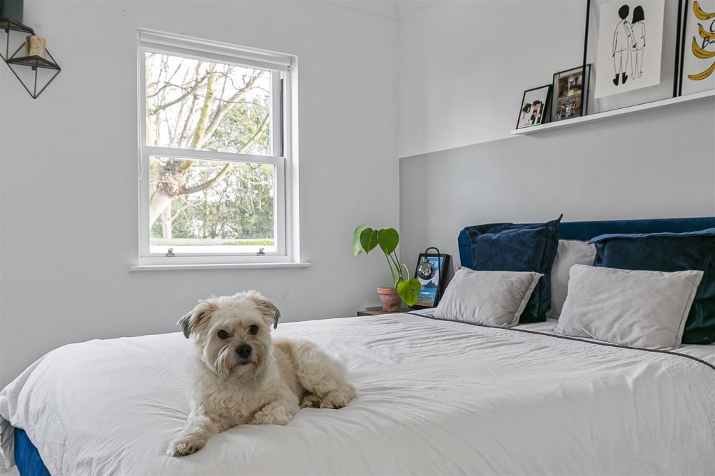 Eden Road, Walthamstow, London, E17