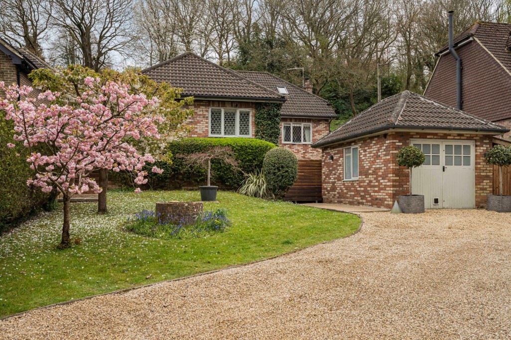 Beech, Alton, Hampshire
