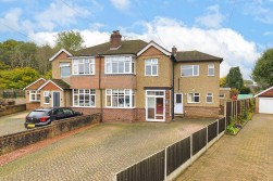 Beech Drive, Allington