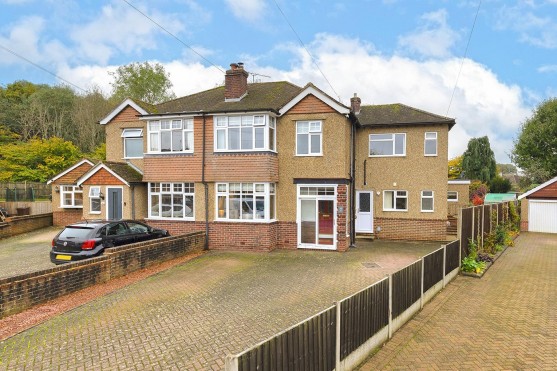 Beech Drive, Allington