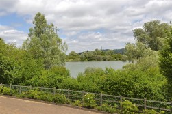 Reed Close, The Lakes, Larkfield