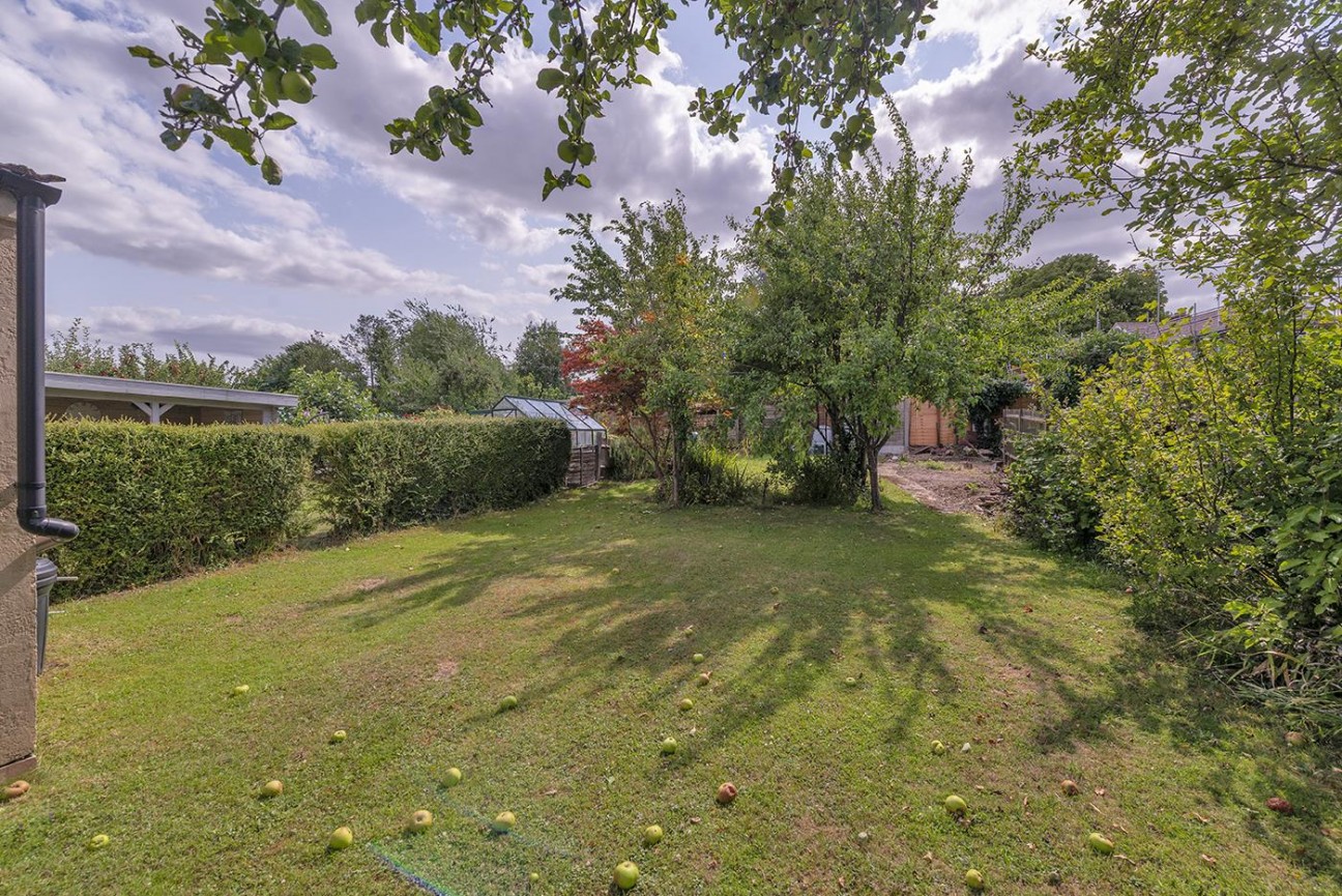 Ash Grove, Maidstone