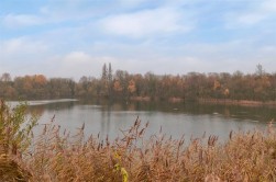 Wingate Close, Holbough Lakes