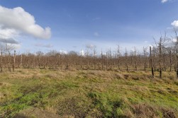 Goudhurst Road, Marden, Tonbridge