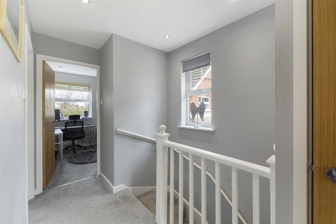 Joy Wood, Boughton Monchelsea, Maidstone