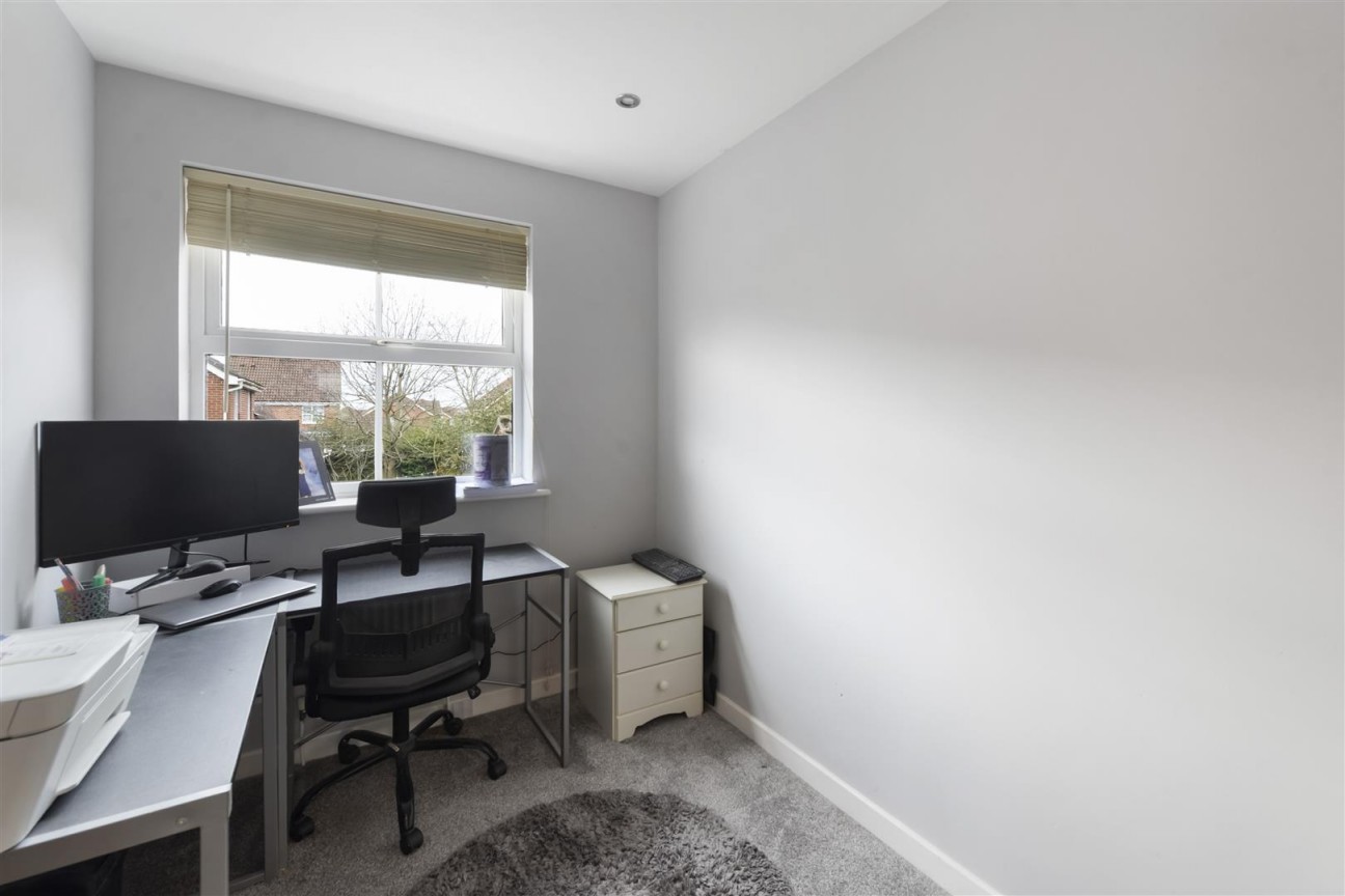 Joy Wood, Boughton Monchelsea, Maidstone