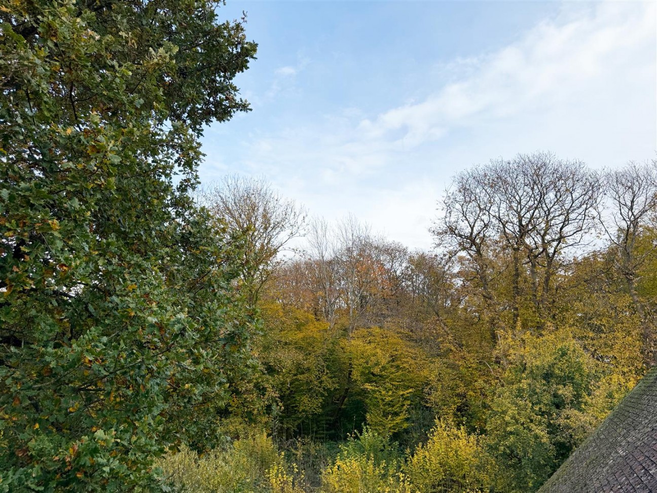 Shoesmith Lane, Kings Hill, ME19 4FF