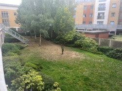 Kingfisher Meadow, Maidstone