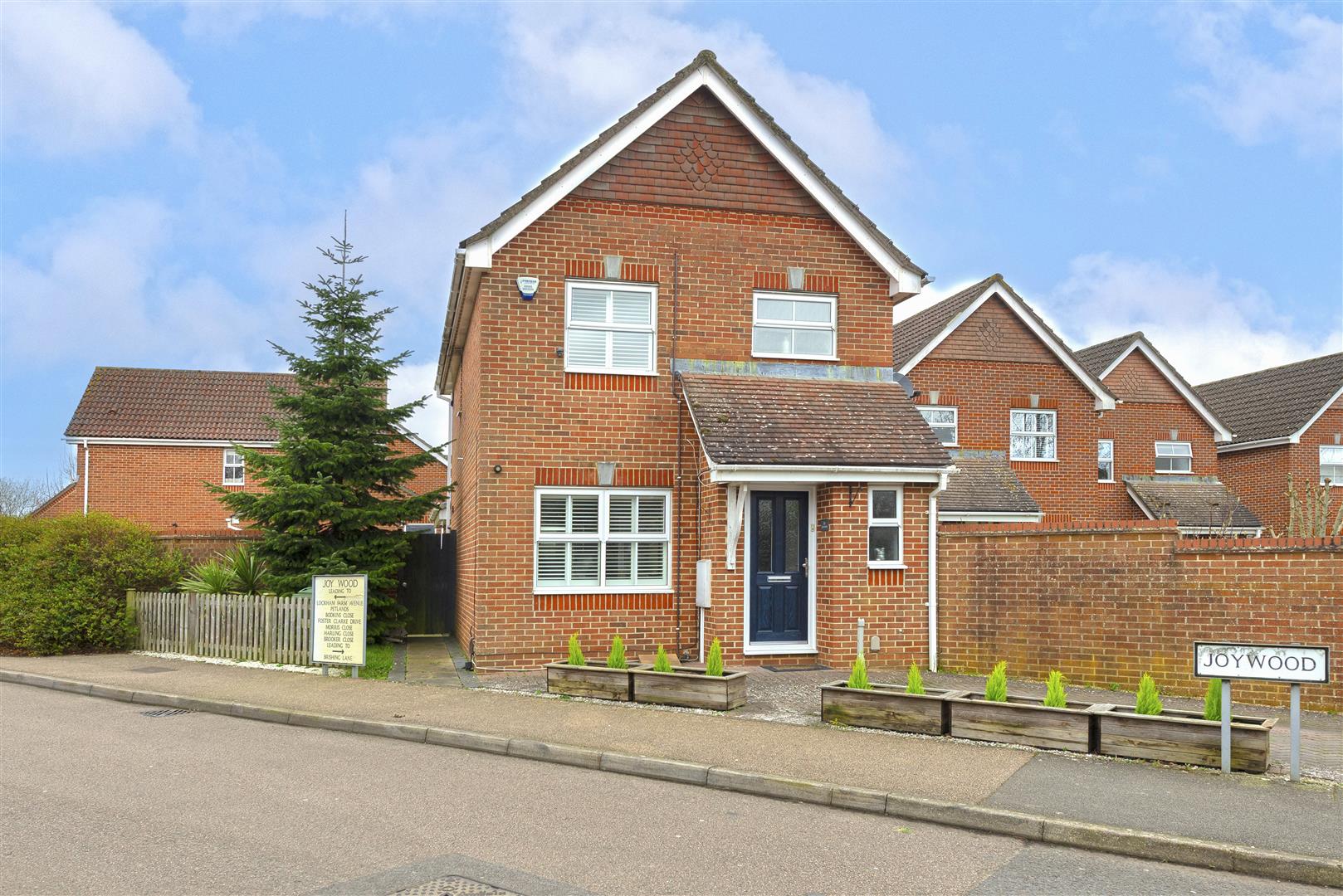 Joy Wood, Boughton Monchelsea, Maidstone