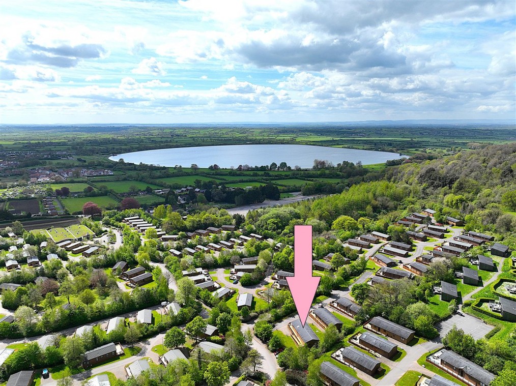 Cheddar Woods, Cheddar