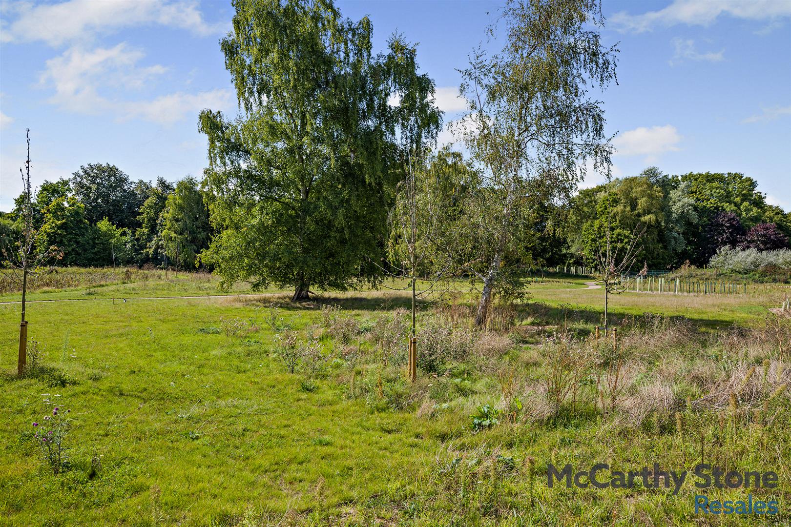 26 Strawberry Hill Gardens