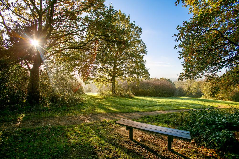 Studio Way, Borehamwood