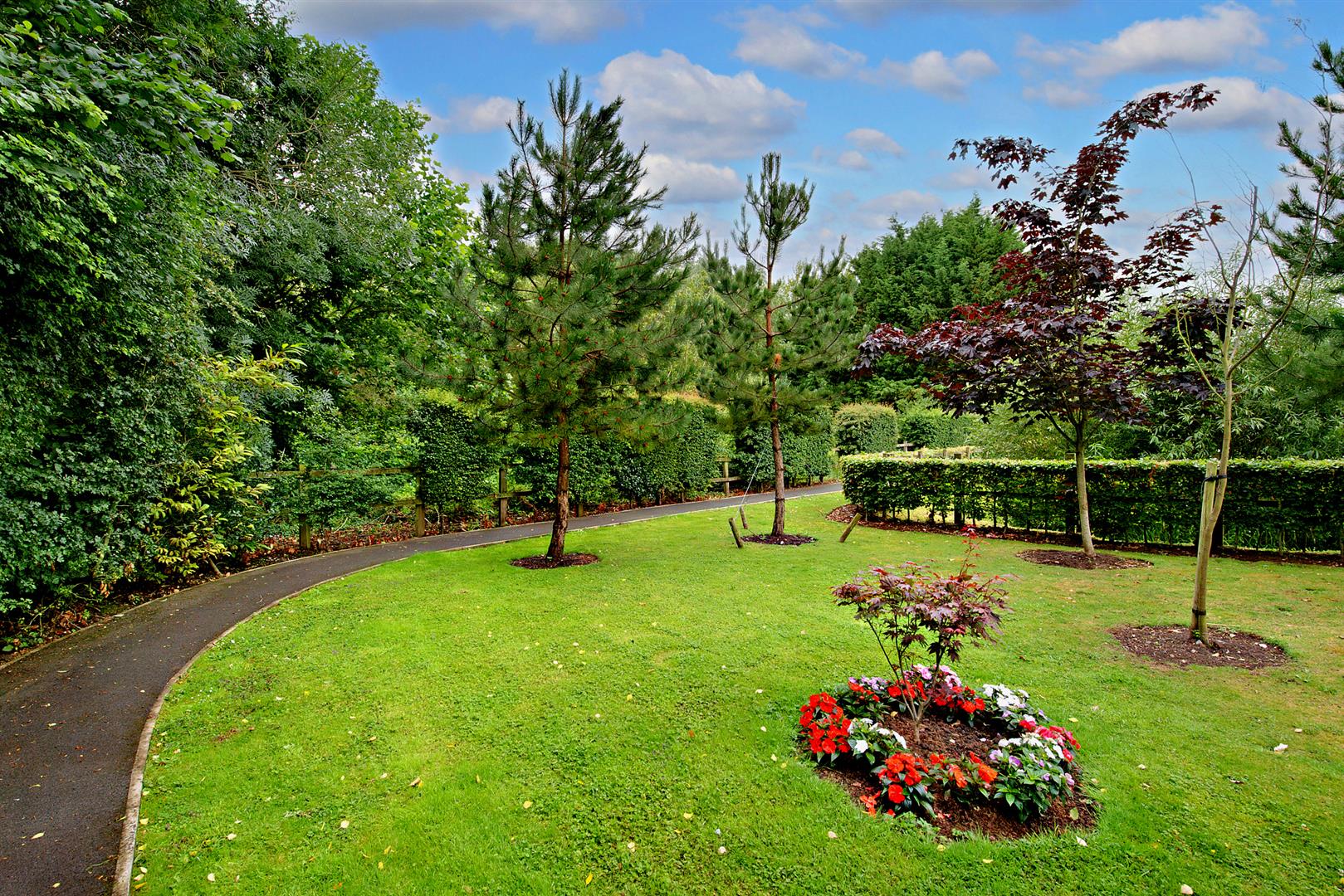 Ellisfields Court, Mount St, Taunton, TA1 3SS