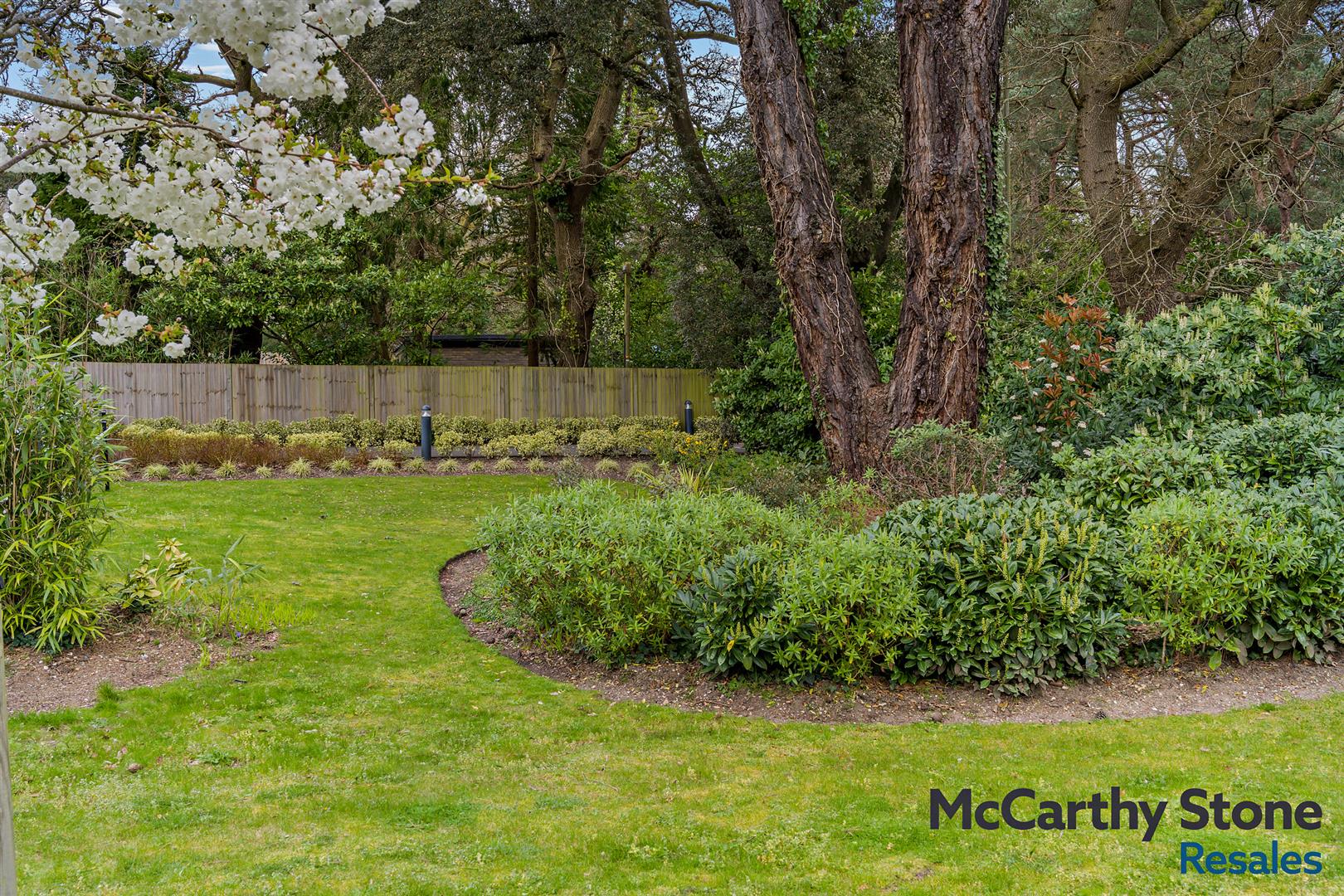 Greenhaven, Lindsay Road, Poole, Dorset BH13 6FF