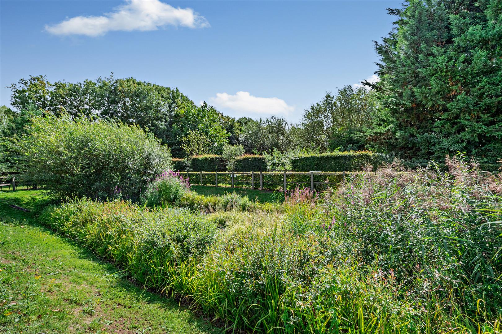 Ellisfields Court, Mount Street, Taunton TA1 3SS