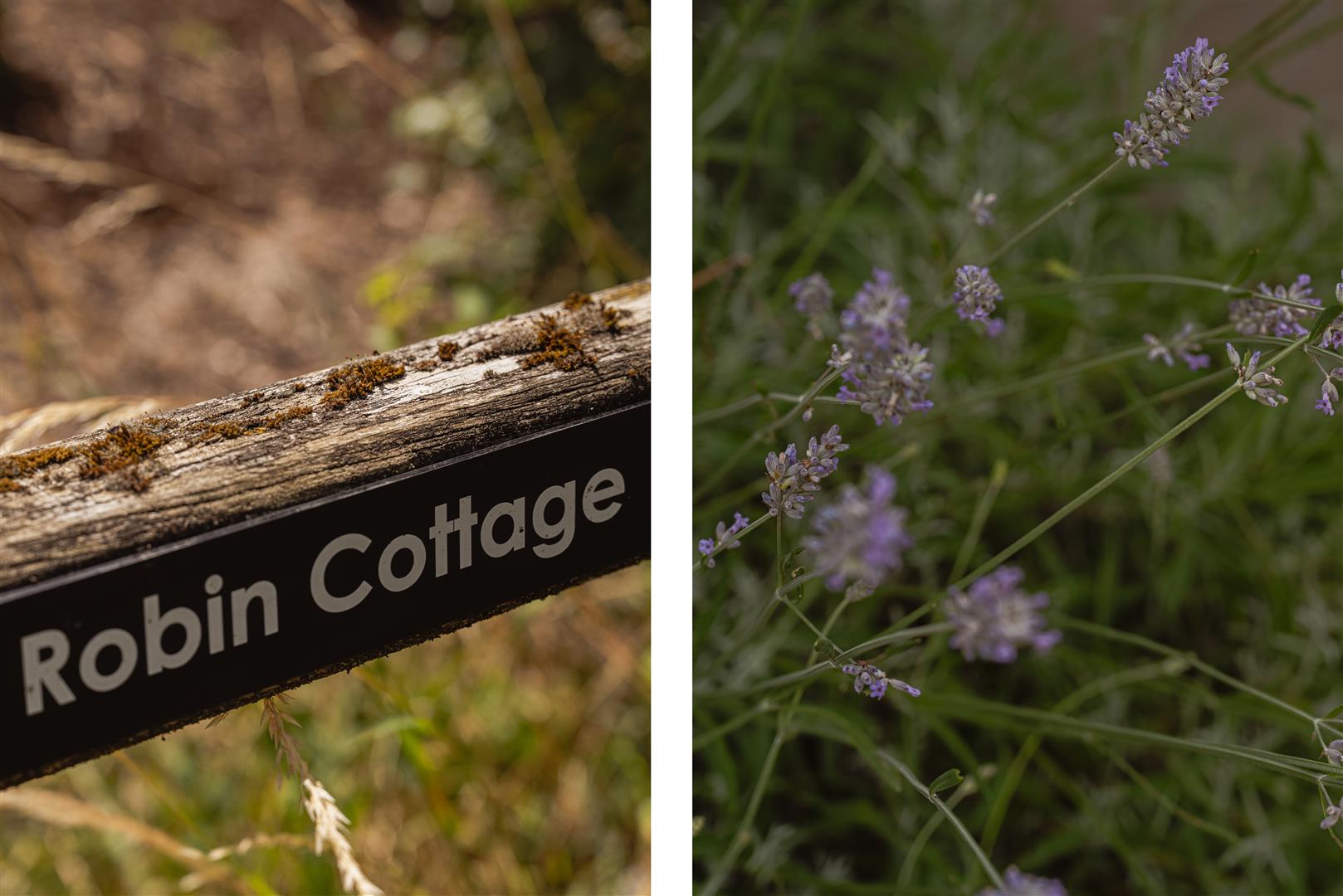 Nutfield Marsh Road, Nutfield, Redhill