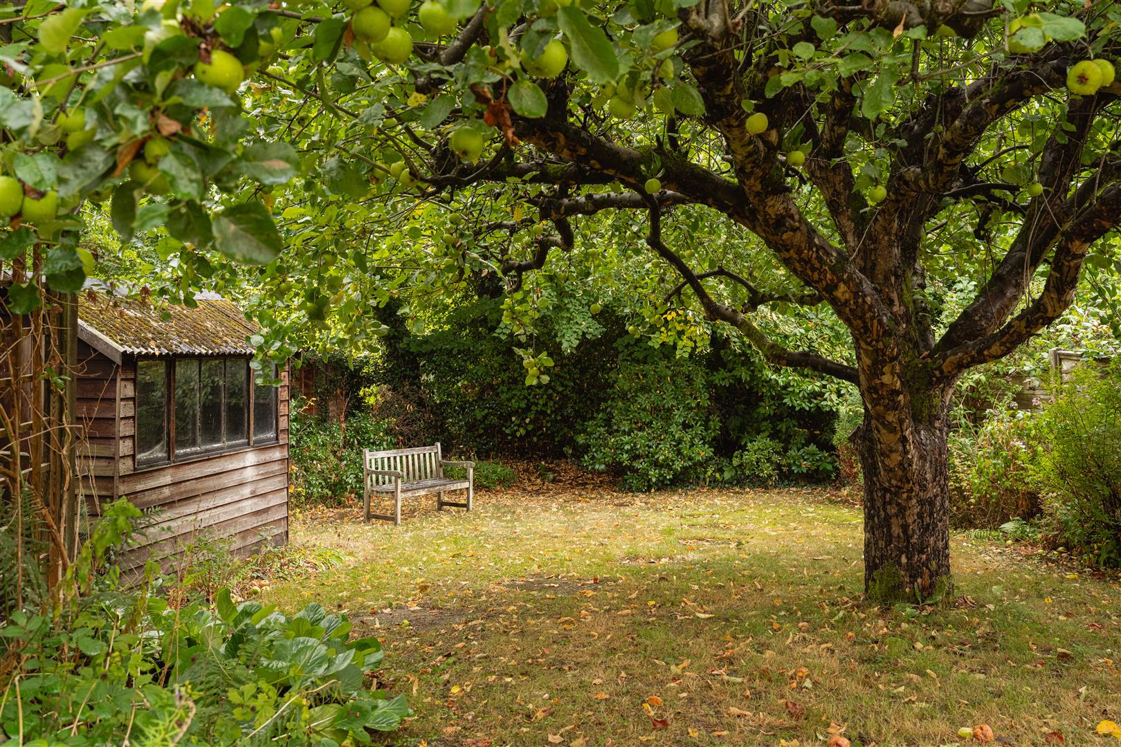 Morris Road, South Nutfield, Redhill