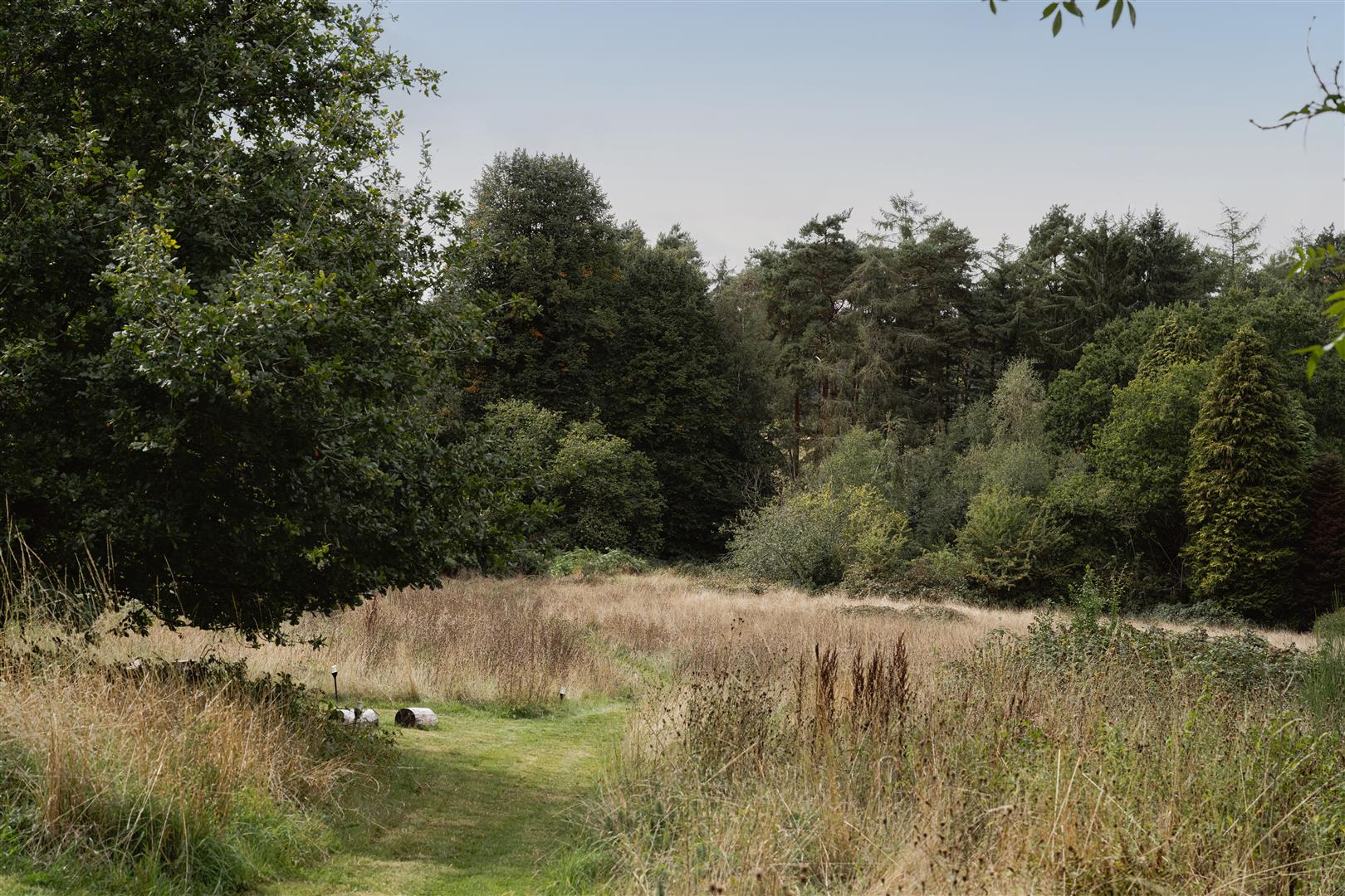 Westcott Heath, Westcott, Dorking