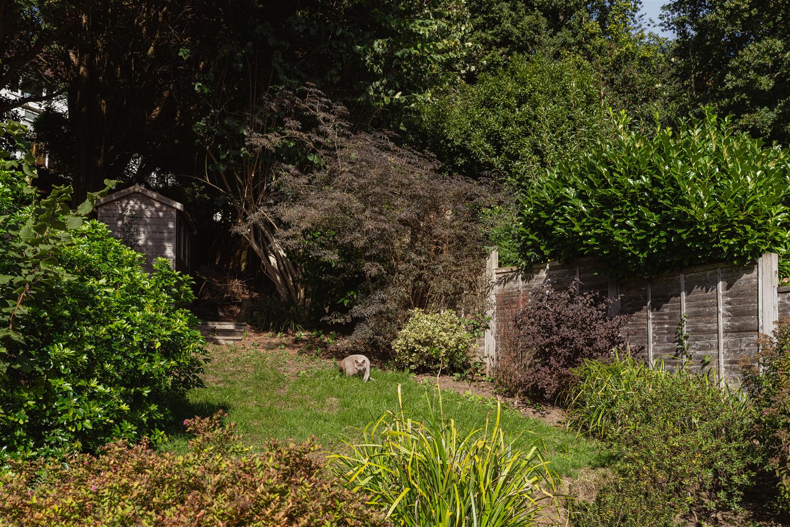 Garlands Road, , Redhill