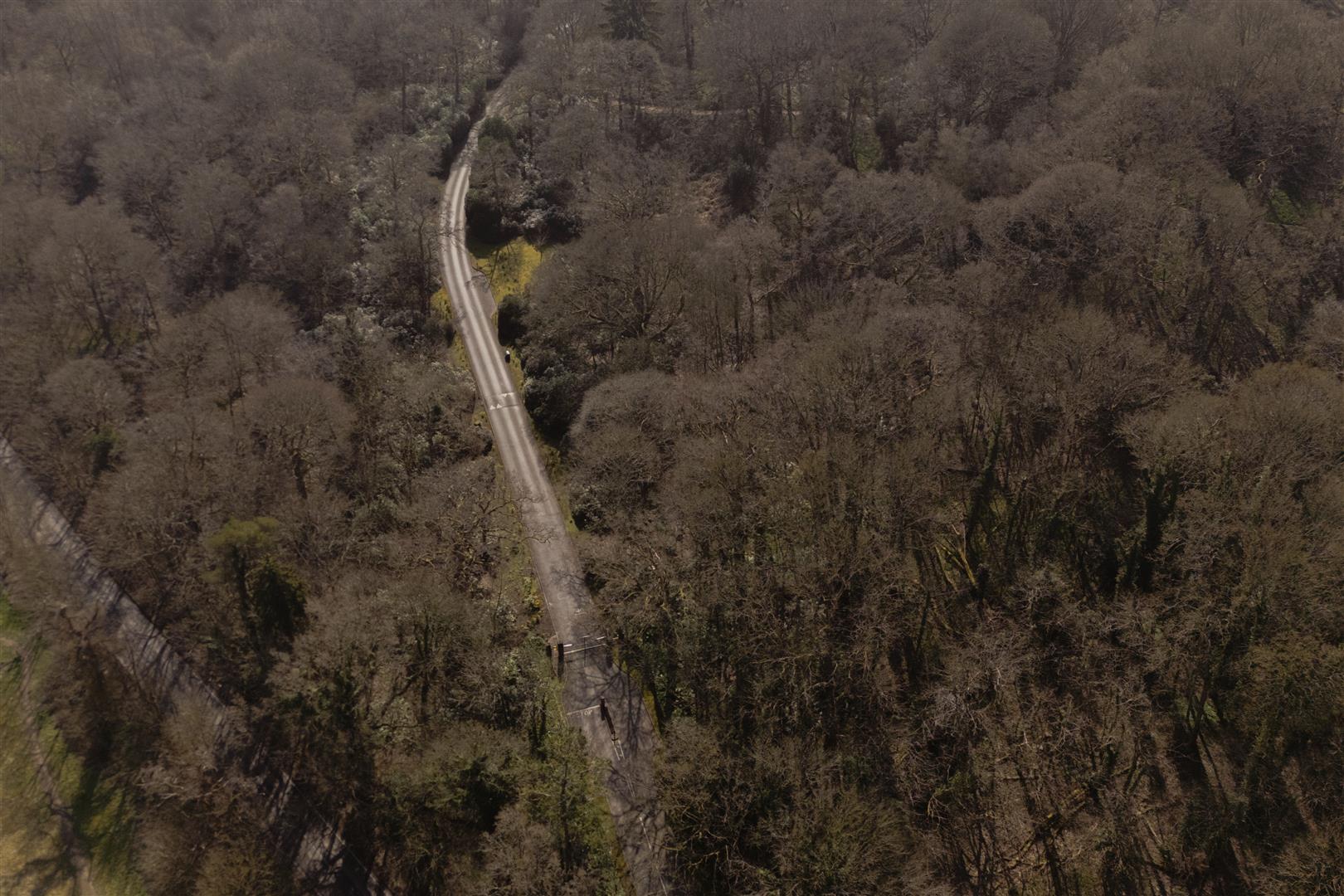 Elizabeth Drive, , Banstead