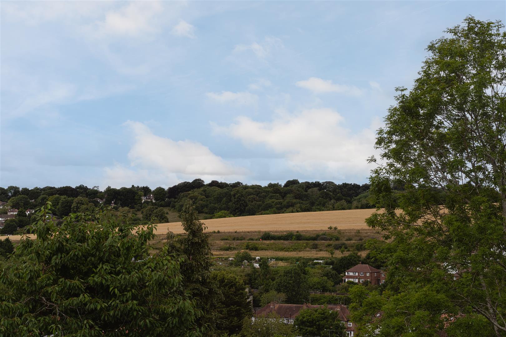 Woodlands Grove, , Coulsdon