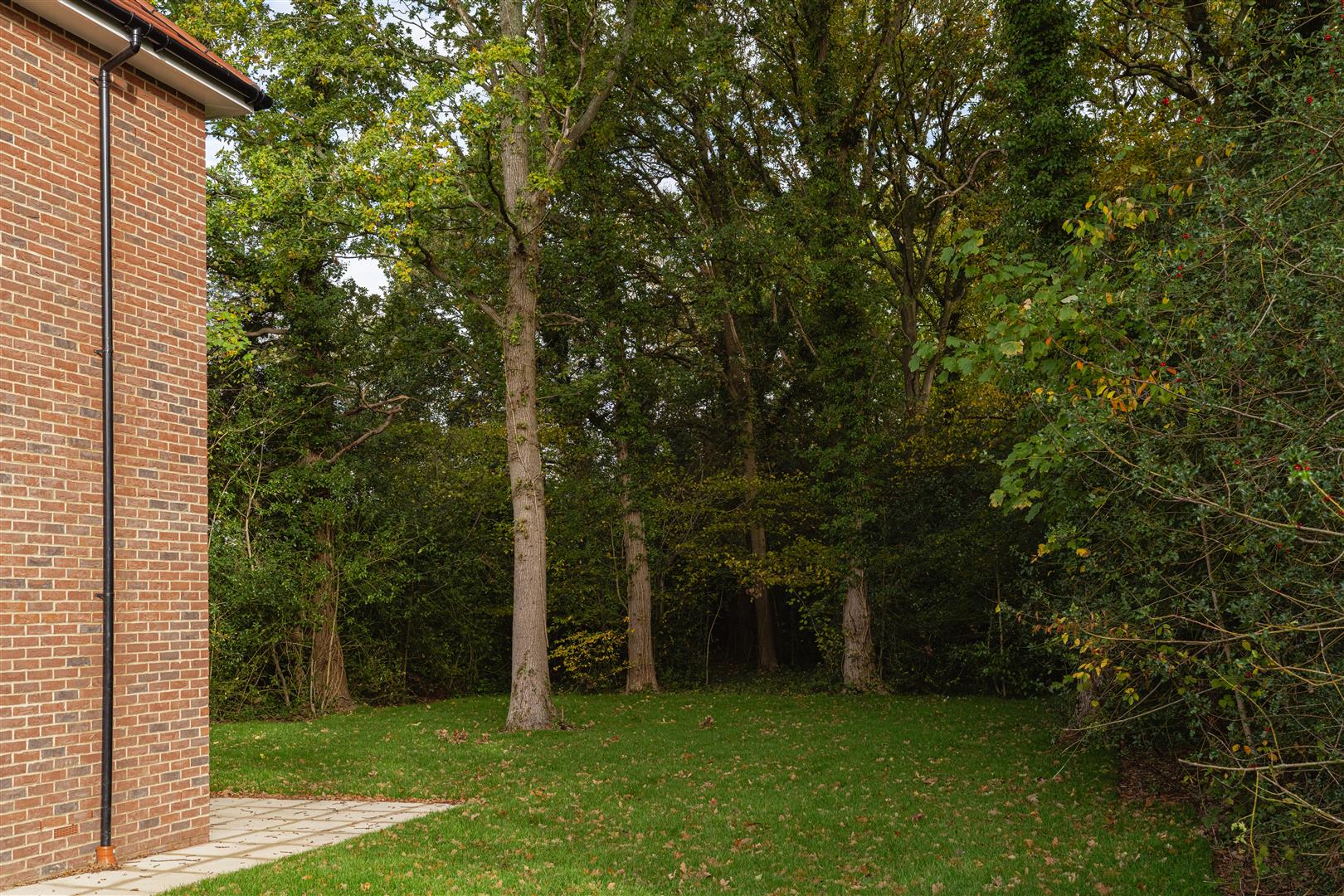 Weatherhill Road, , Smallfield