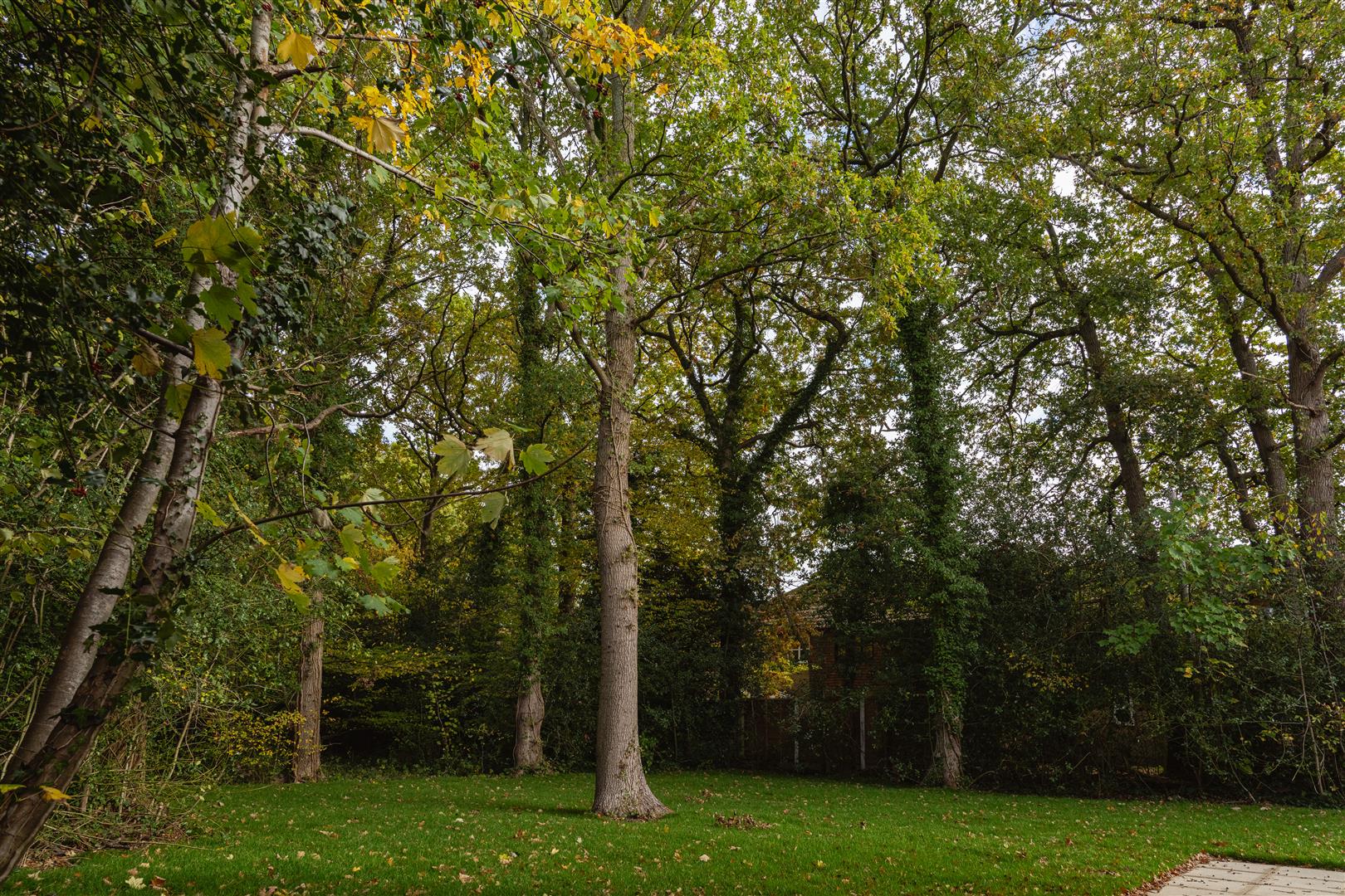 Weatherhill Road, , Smallfield