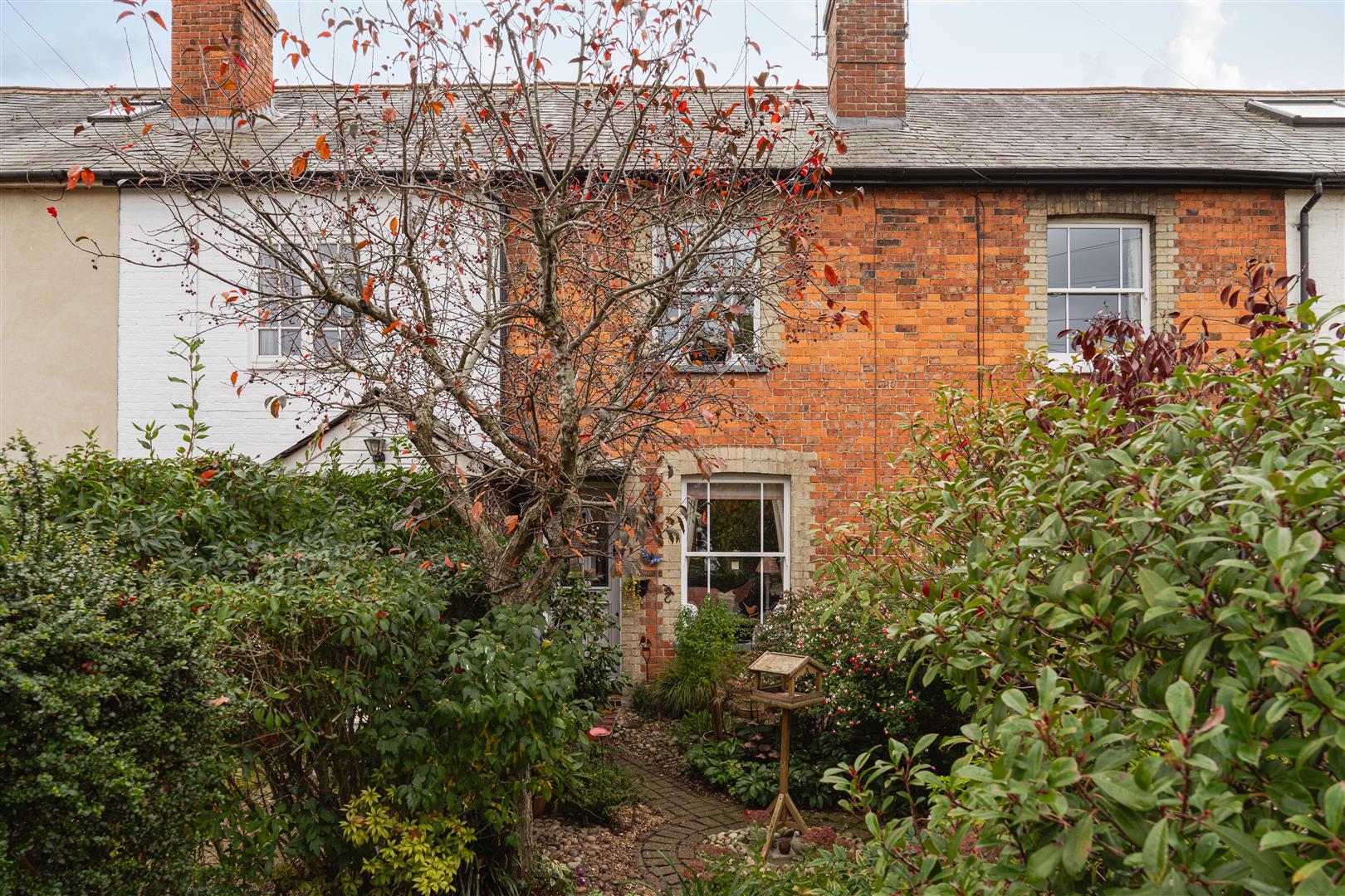 Curtis Gardens, , Dorking