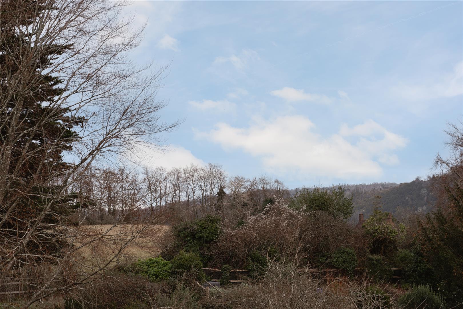 Yew Tree Road, , Dorking