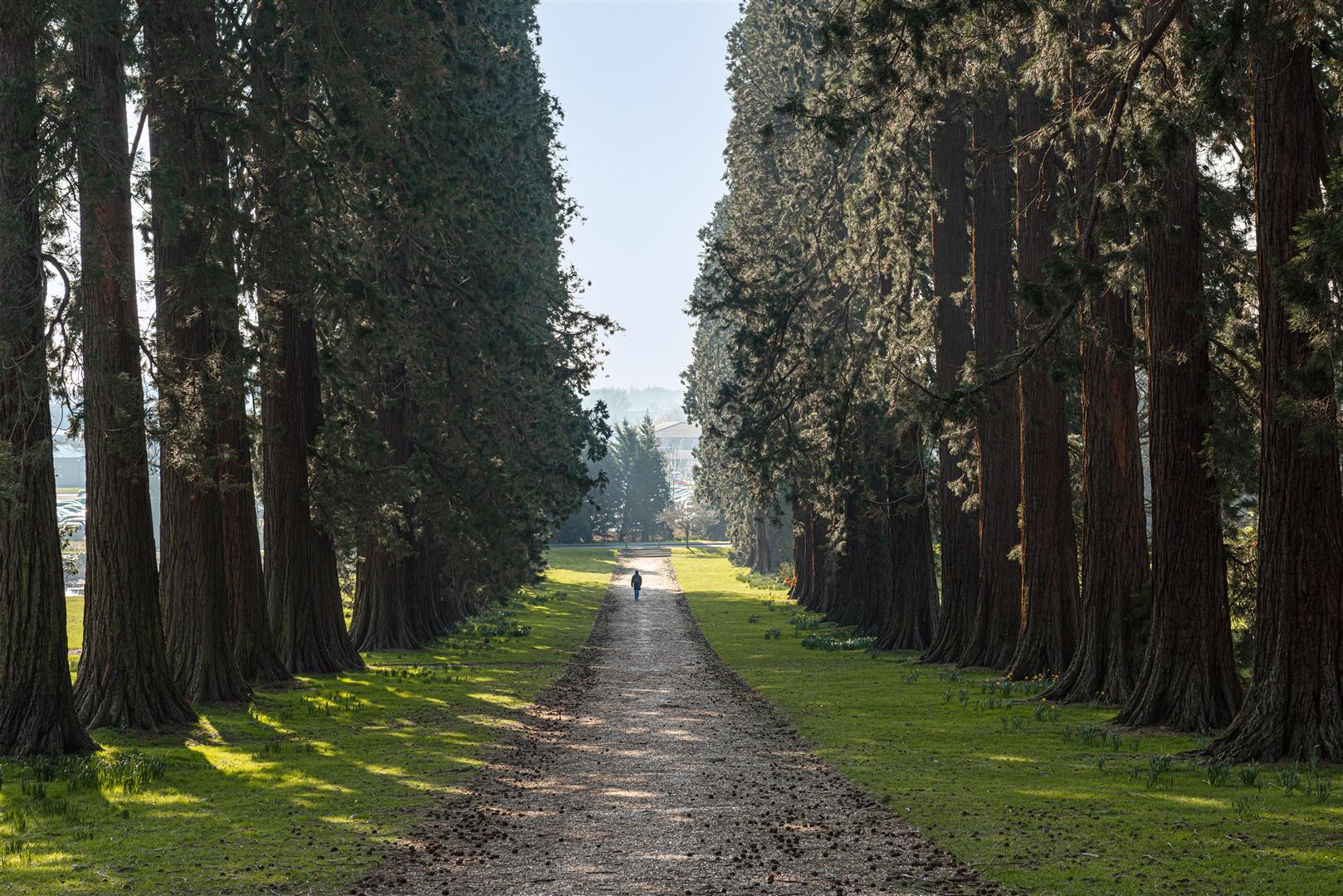 Royal Earlswood Park, , Redhill