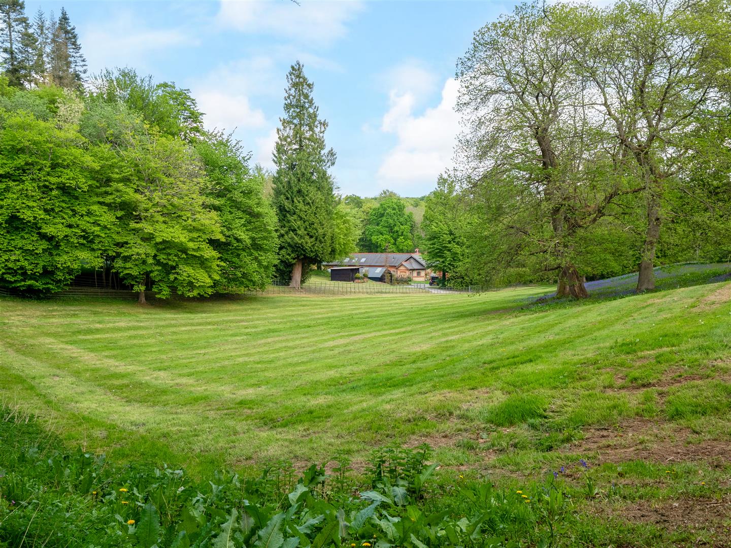 Ranmore Common, , Dorking