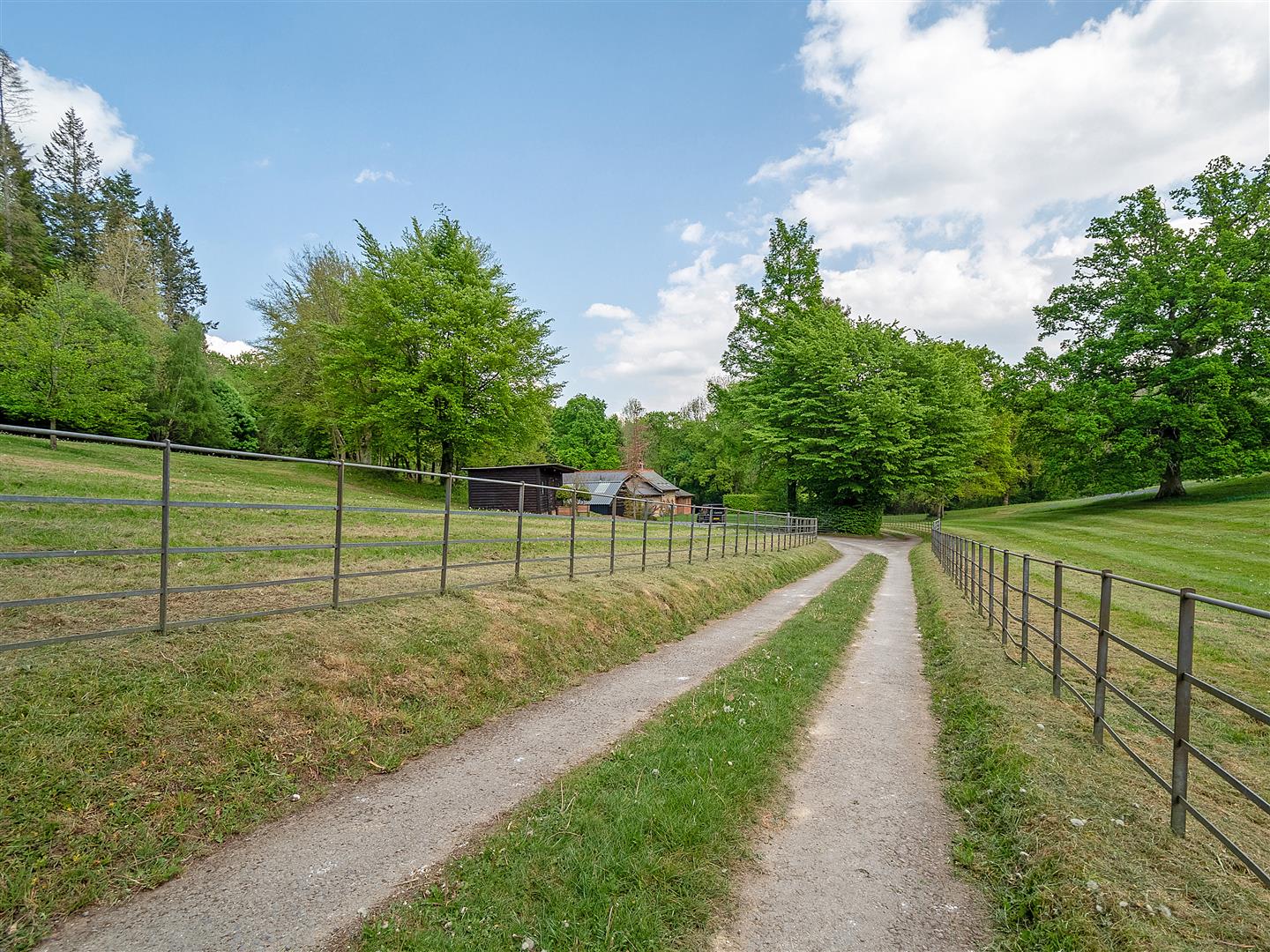 Ranmore Common, , Dorking