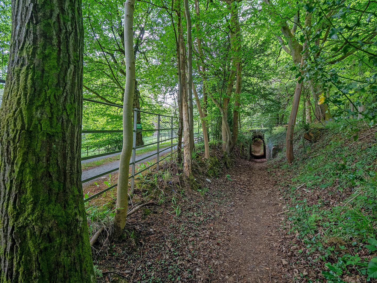 Ranmore Common, , Dorking